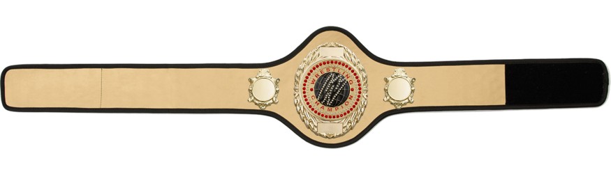 WRESTLING BELT-PRO286/G/WRESTGEMG-10+ COLOURS